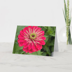 Remerciements Carte de vœux vierge Magenta Zinnia