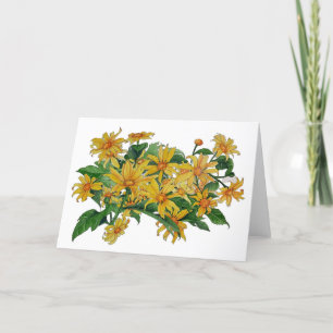 Remerciements Carte de voeux vierge Marguerites jaunes