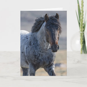 Remerciements Carte de voeux Wild Horse - Blue et sa famille