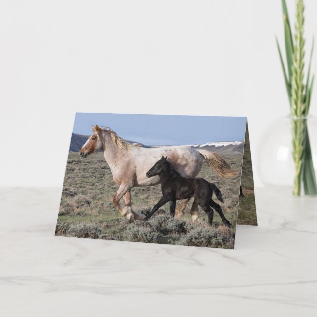 Remerciements Carte de voeux Wild Horse - Wild Mare et Foot Run (Devant)