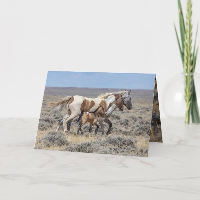 Remerciements Carte de voeux Wild Horse - Wild Pinto & Appaloosa (Devant)