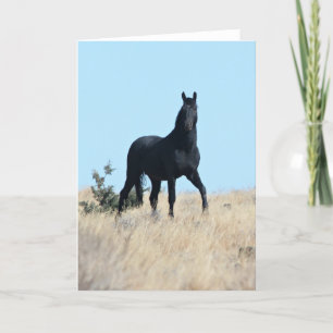 Remerciements Carte de voeux Wild Stallion Voodoo