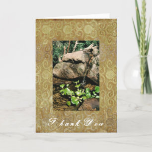 Remerciements Carte de voeux Woodland Waterfall