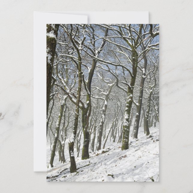 Remerciements Carte d'hiver de la forêt de Macclesfield (Devant)
