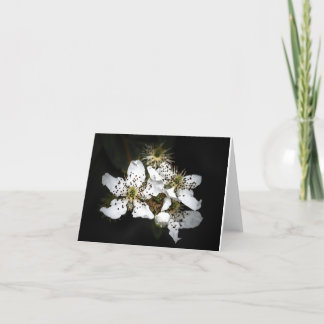 Remerciements Carte pour notes vierge de fleurs