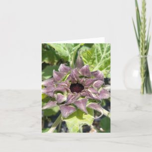Remerciements Carte unique de note de tournesol violet