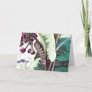 Remerciements Caterpillar et Milkweed - Carte de voeux vierge