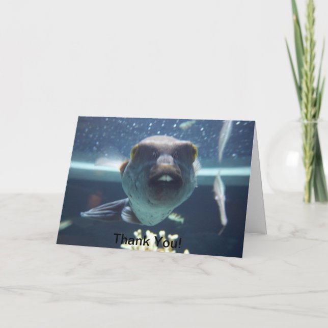 Remerciements Cette carte de poisson à bec (Devant)