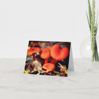 Remerciements Champignons sauvages d'Orange Carte de remerciemen
