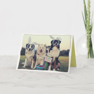 Remerciements Chiens amusants Bonne carte de Pâques