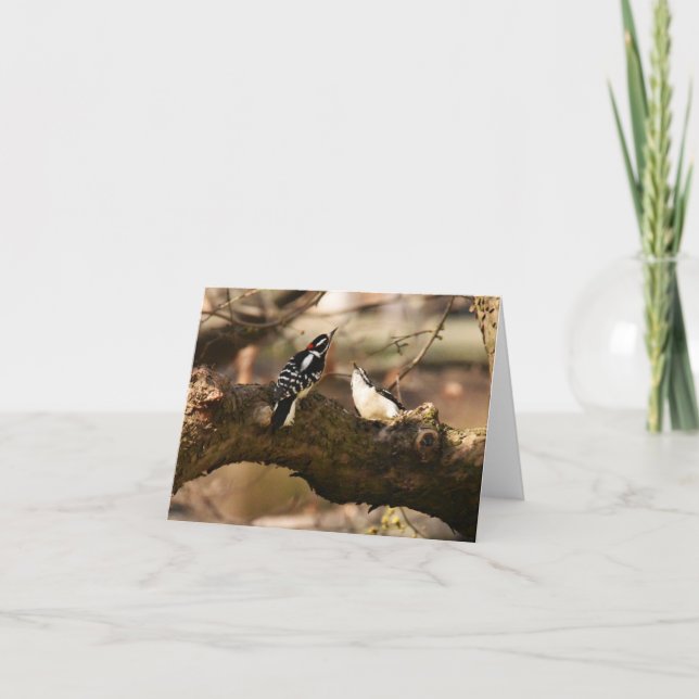 Remerciements "Courtoisie" (Pic Downy) - Carte de note blanche (Devant)