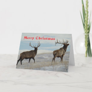 Remerciements E57 Gros taureaux sur carte de Noël enneigée