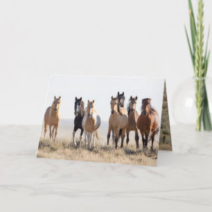 Remerciements El Dorado et sa carte de voeux familiale