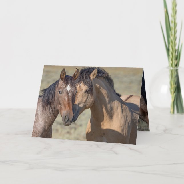 Remerciements Fallen Star et sa carte de voeux pour Cheval sauva (Devant)