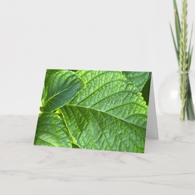Remerciements Feuilles verts dans la carte de note blanche de gr (Devant)
