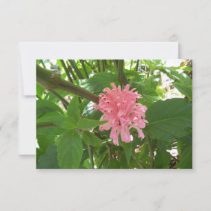 Remerciements Fleur brésilienne rose de plume sur un carte de