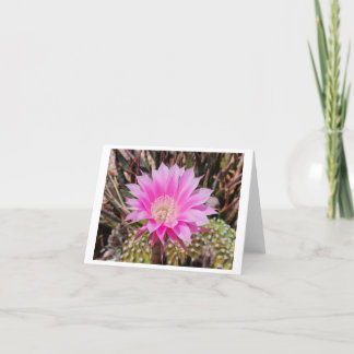 Remerciements Fleur de cactus rose Plié Blanc Toute carte d'occa