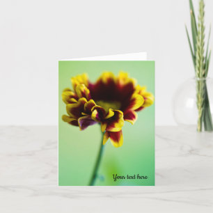 Remerciements Fleur marguerite rouge et jaune Carte de voeux