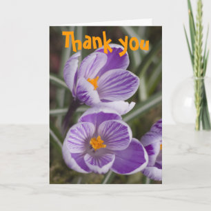 Remerciements Fleurs de crocus violettes ... Carte de remercieme