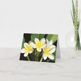 Remerciements Frangipani vietnamien Carte pour notes de toutes l