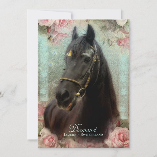 Remerciements Friesian Stallion DIAMOND - Carte de voeux (Devant)