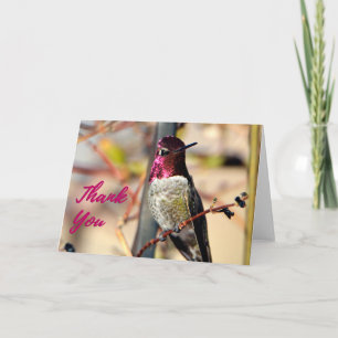 Remerciements Hot rose Anna's Hummingbird Photo Carte de remerci