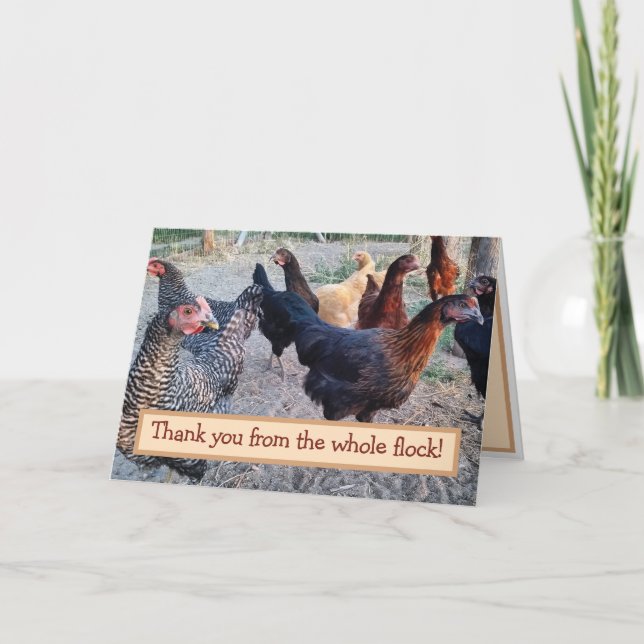 Remerciements Humour de poulets drôle Barnyard Carte de remercie (Devant)