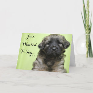 Remerciements Juste Recherché pour dire la carte de chiot de