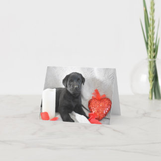 Remerciements Labrador Puppy Valentines Carte de jour