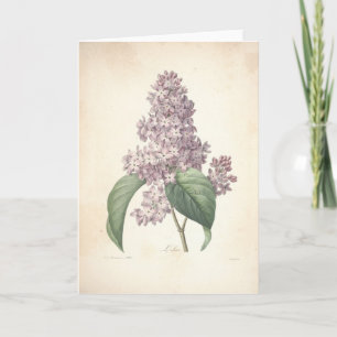 Remerciements Lilas par la carte de sympathie botanique de