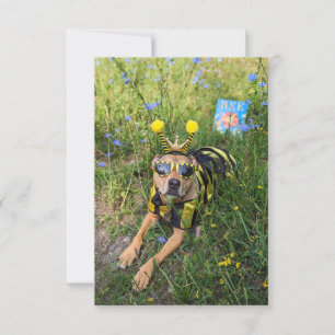 Remerciements Livre de costume d'abeille Funny Chien Carte photo