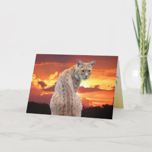 Remerciements Lynx de Floride avec Carte Pliée de Superbe Couche