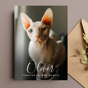 Remerciements Mémorial de la carte Pet Sympathy Card