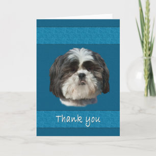 Remerciements Merci, carte de chien de Shih Tzu