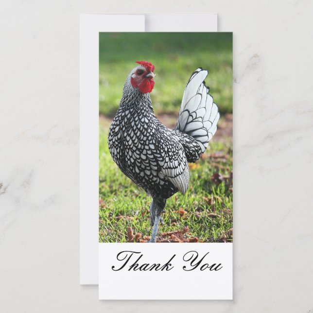 Remerciements Merci, carte photo de coq (Devant)