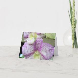 Remerciements Orchidée blanche et violette sur une Carte de reme