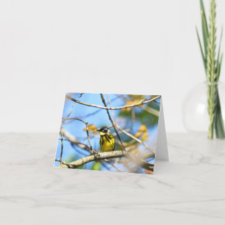 Remerciements Paruline Magnolia - Carte de note blanche