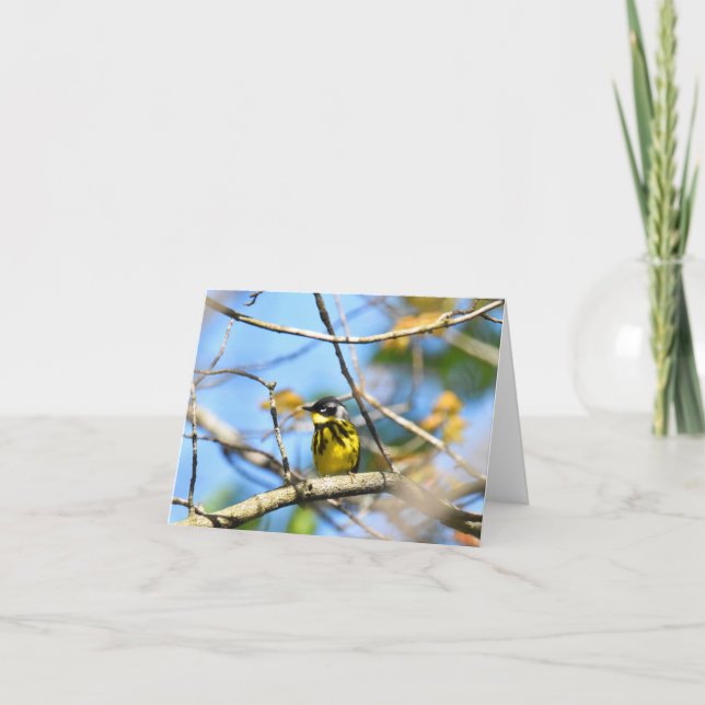 Remerciements Paruline Magnolia - Carte de note blanche (Devant)