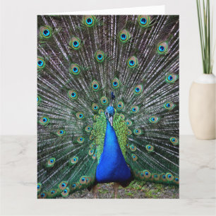 REMERCIEMENTS PEACOCK ART GRANDE CARTE DE SALUT D'ANNIVERSAIRE