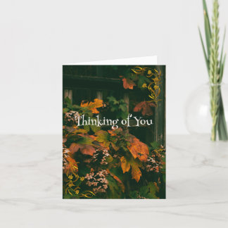 Remerciements Personnaliser la pensée carte de votre film