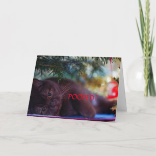 REMERCIEMENTS POOPÉ ? CARTE DE NOËL POUR TOUS
