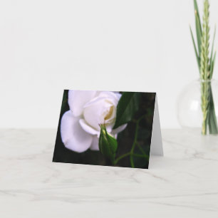 Remerciements Rose blanc et carte de note rose de bourgeon