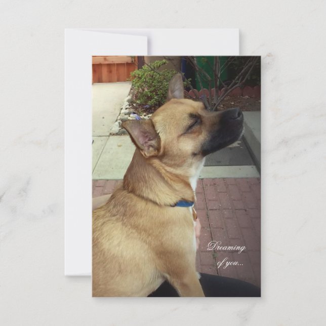 Remerciements Secourir des chiens de 3,5 po x 5 po Carte de reme (Devant)