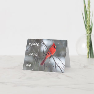 Remerciements Silent Wonders Carte de voeux de vacances Cardinal
