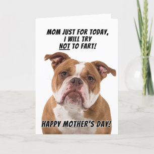 Remerciements Staffordshire Terrier Carte de voeux Fête des mère