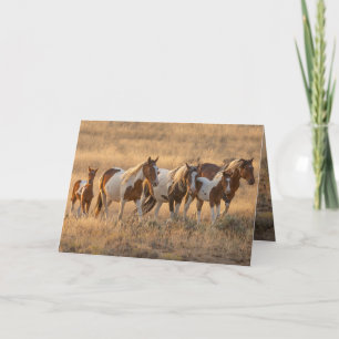 Remerciements Tahlequah et sa carte de voeux familiale