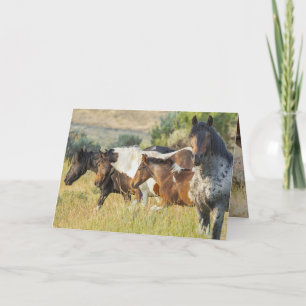 Remerciements Takini et sa carte de voeux familiale