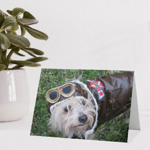 Remerciements Top Dog dans la carte de note costume d'aviateur