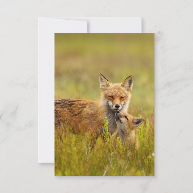 Remerciements Trousse Red Fox Recherche de la carte de voeux Mom (Devant)