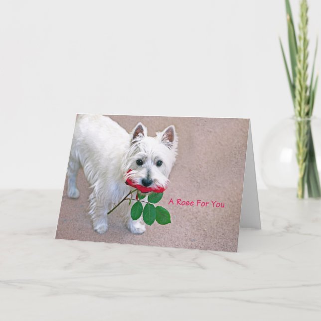 Remerciements "Un Rose pour vous" toutes les occasions carte de  (Devant)